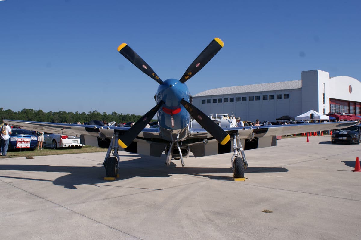 - Warbird