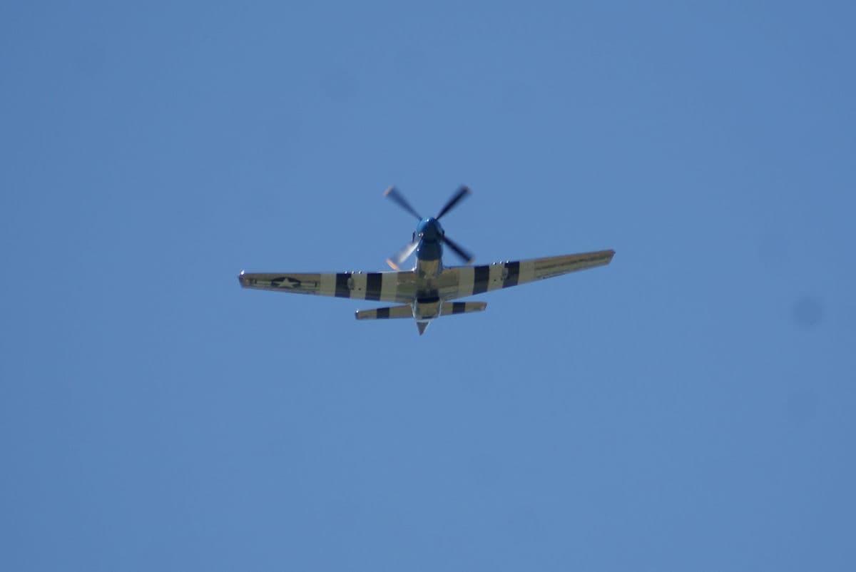 - Warbird
