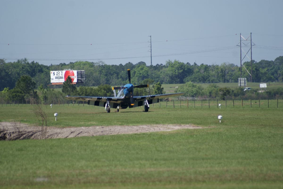 - Warbird
