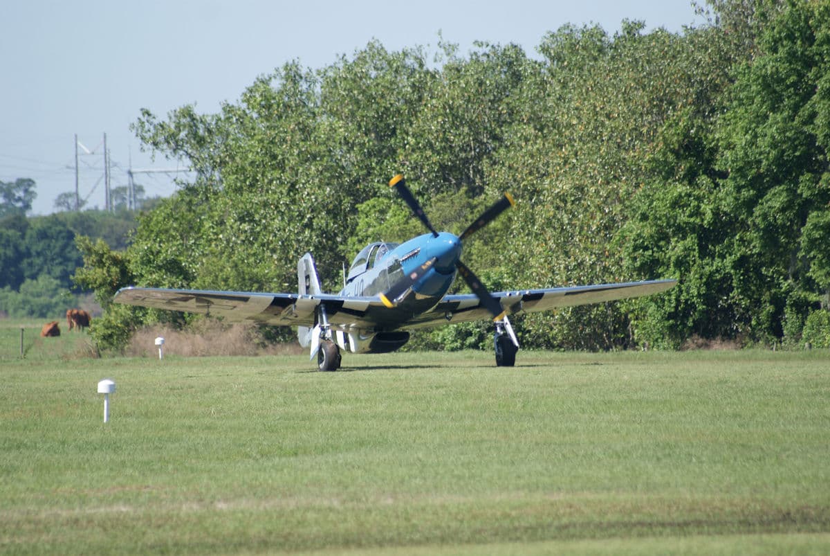 - Warbird
