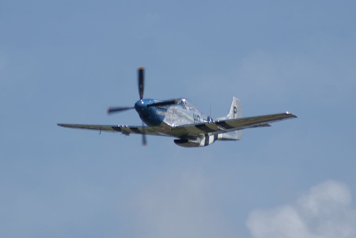 - Warbird