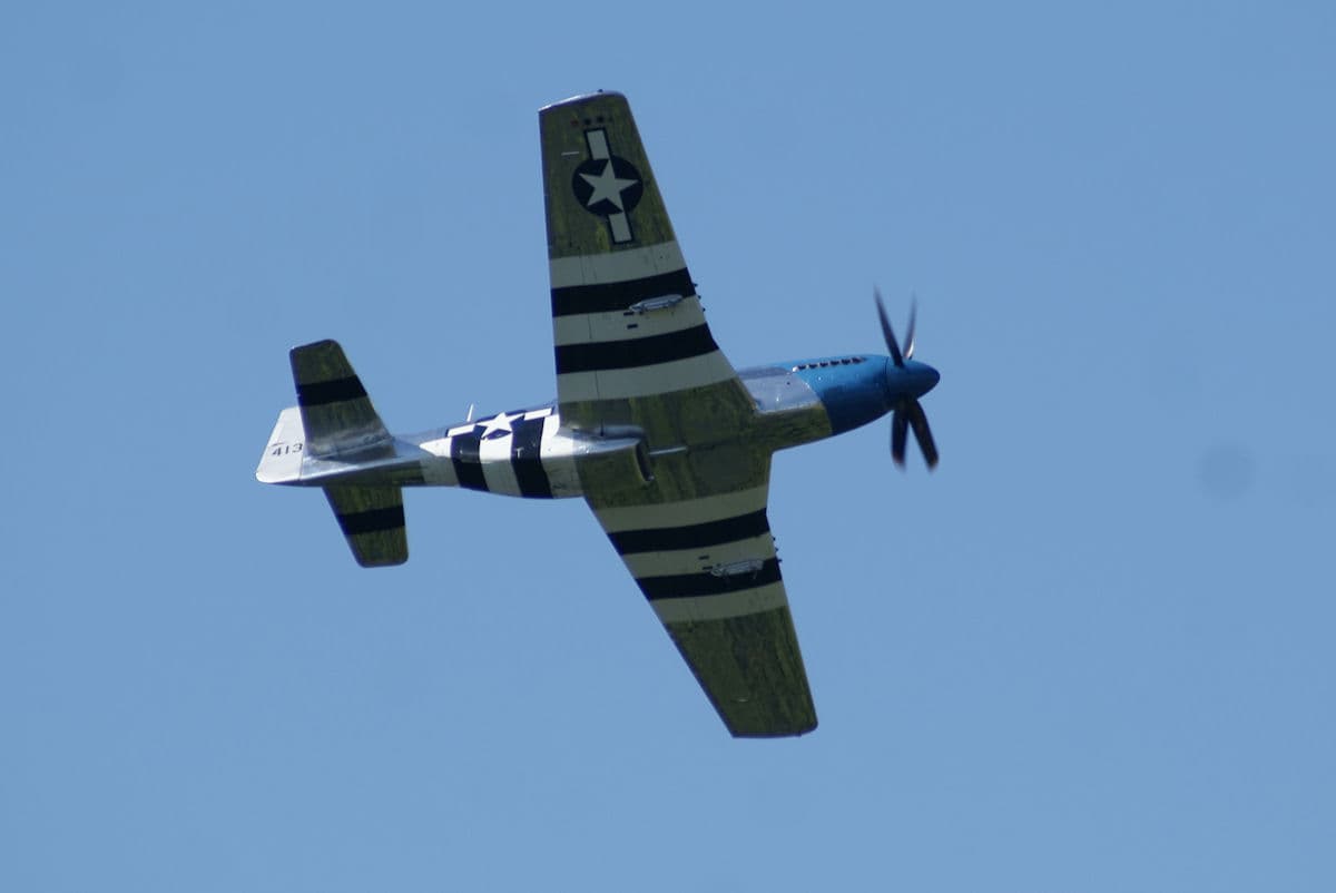 - Warbird