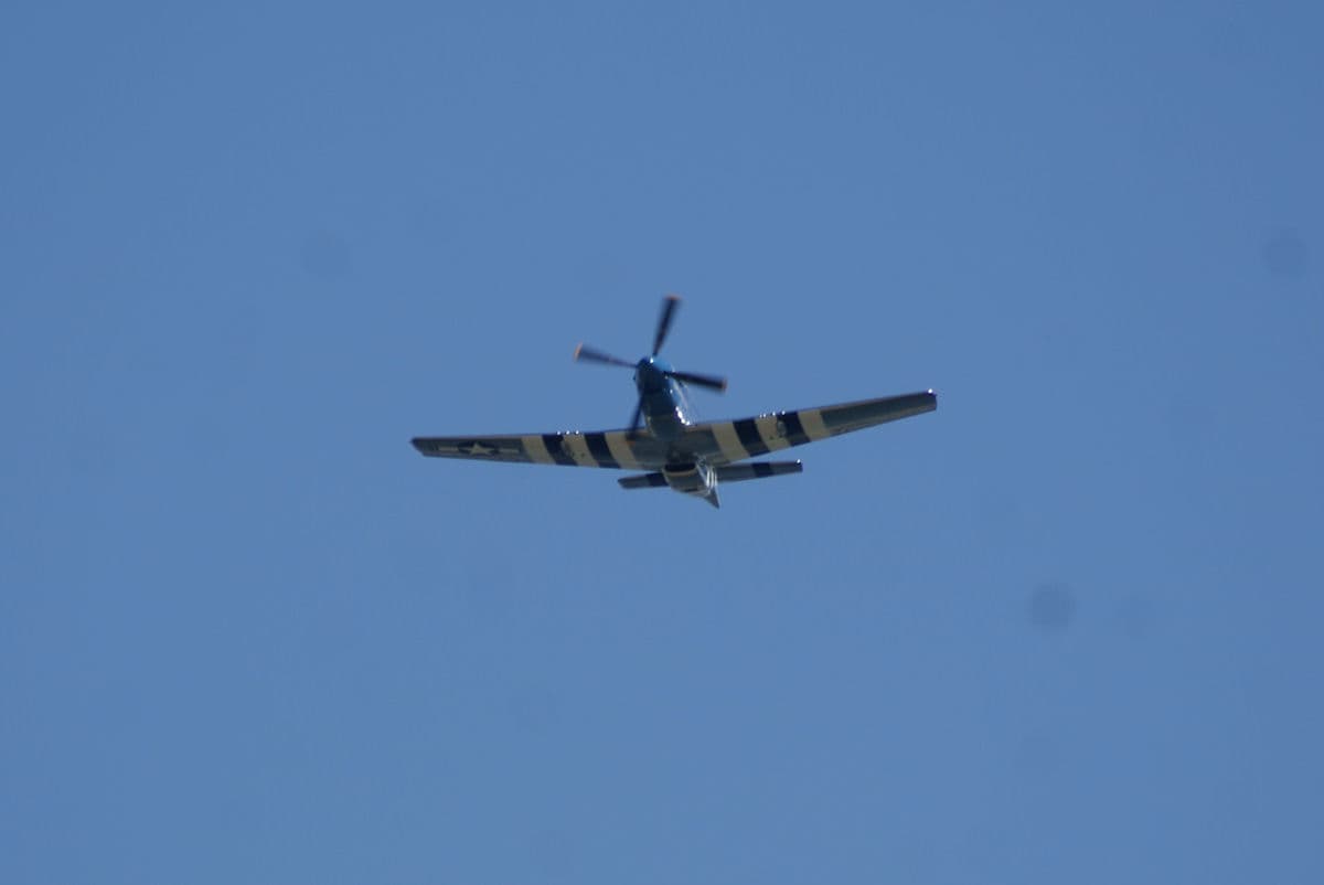 - Warbird