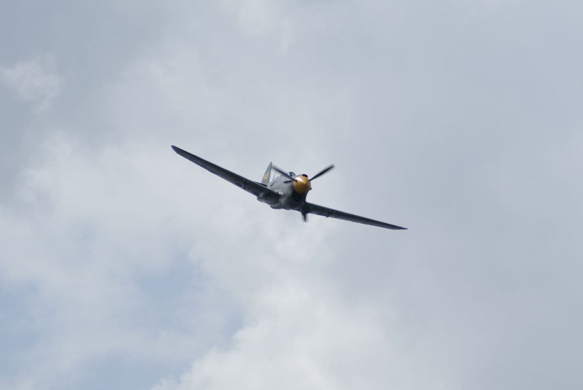 - Warbird