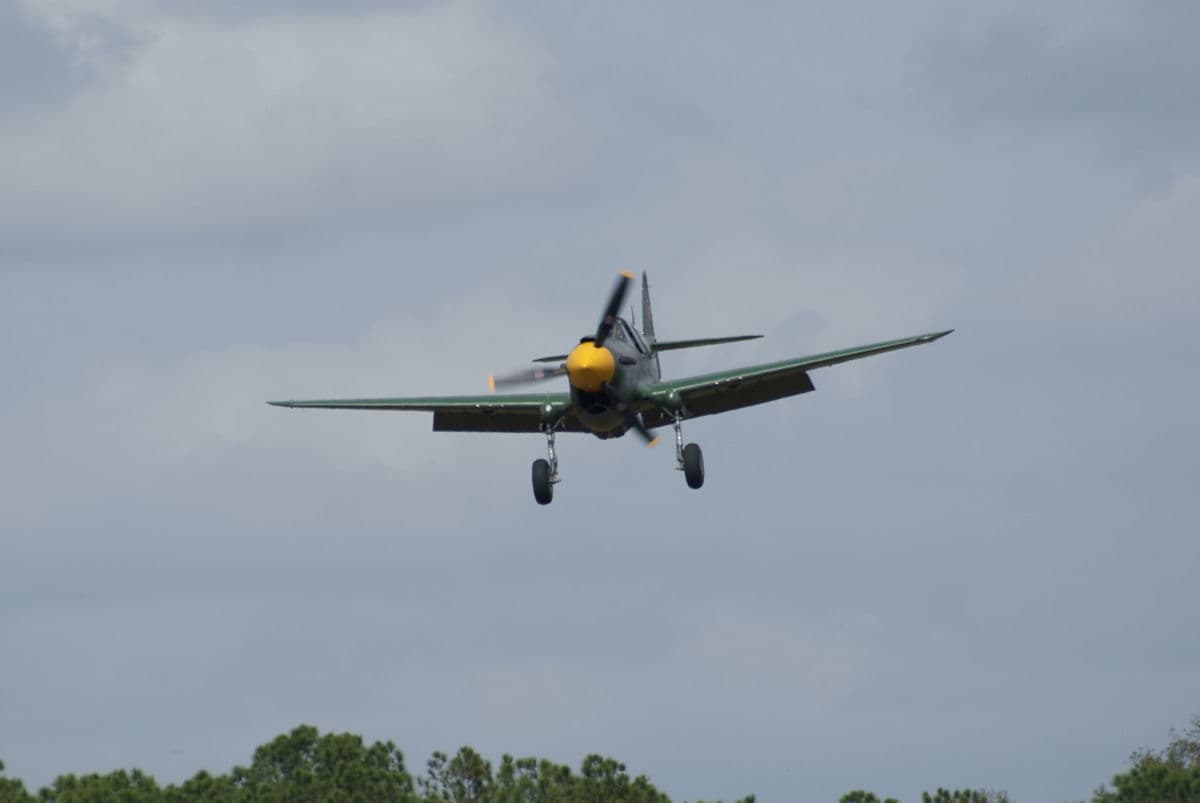 - Warbird