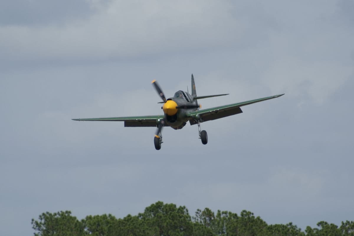 - Warbird