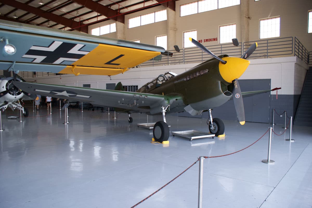 - Warbird