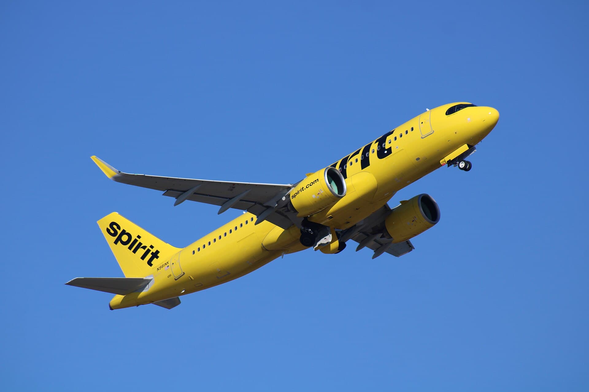 N981NK - Airbus