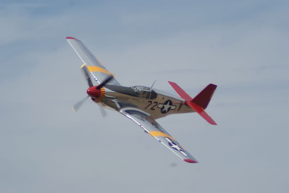 - Warbird