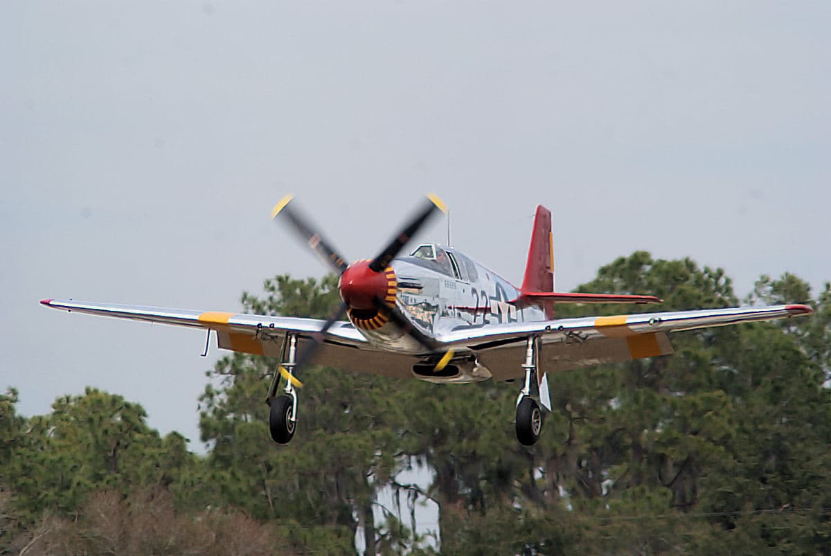 - Warbird