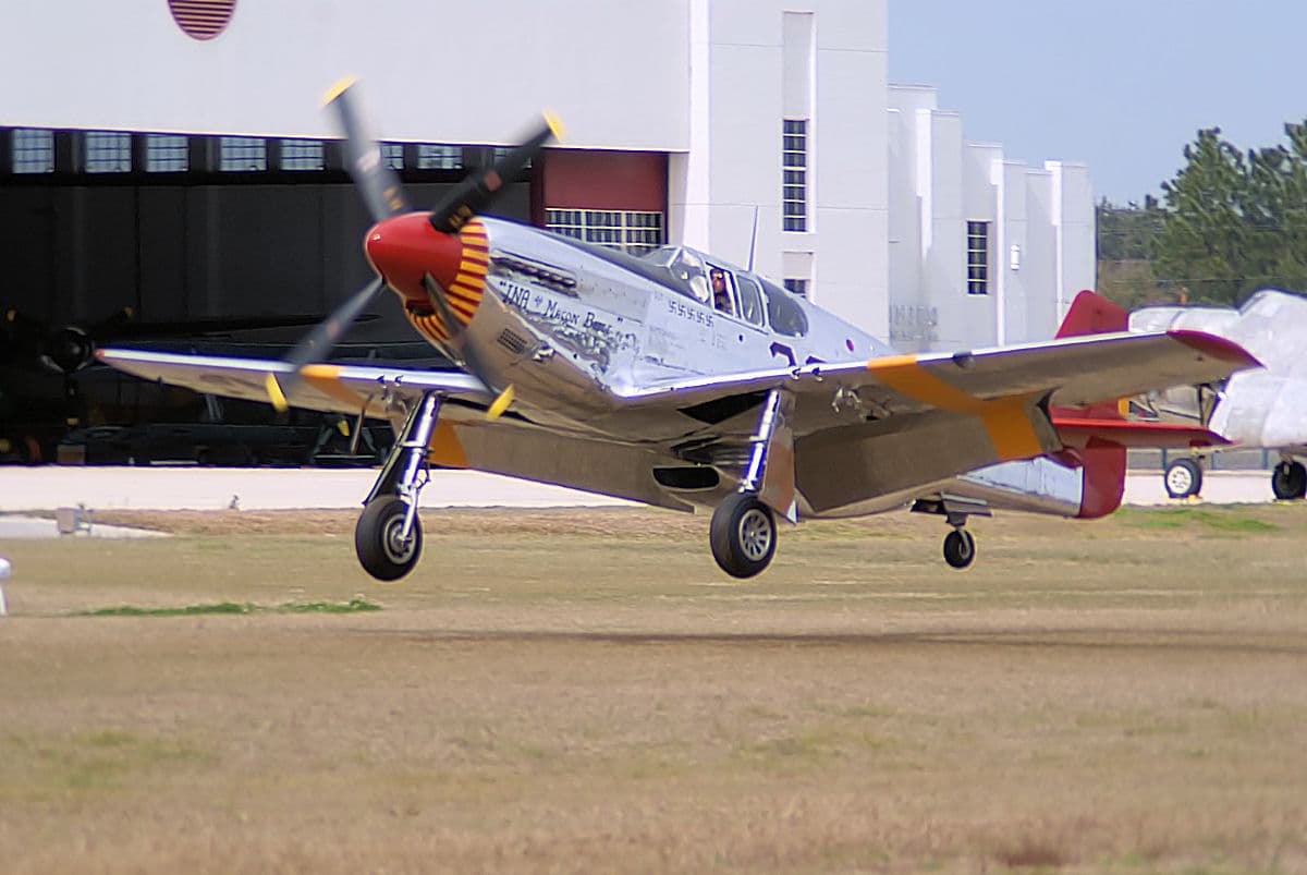 - Warbird