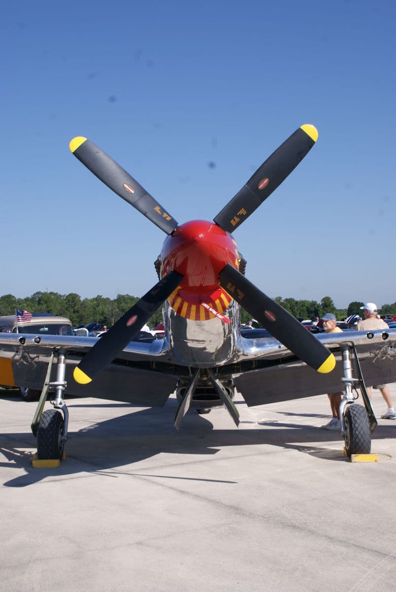 - Warbird