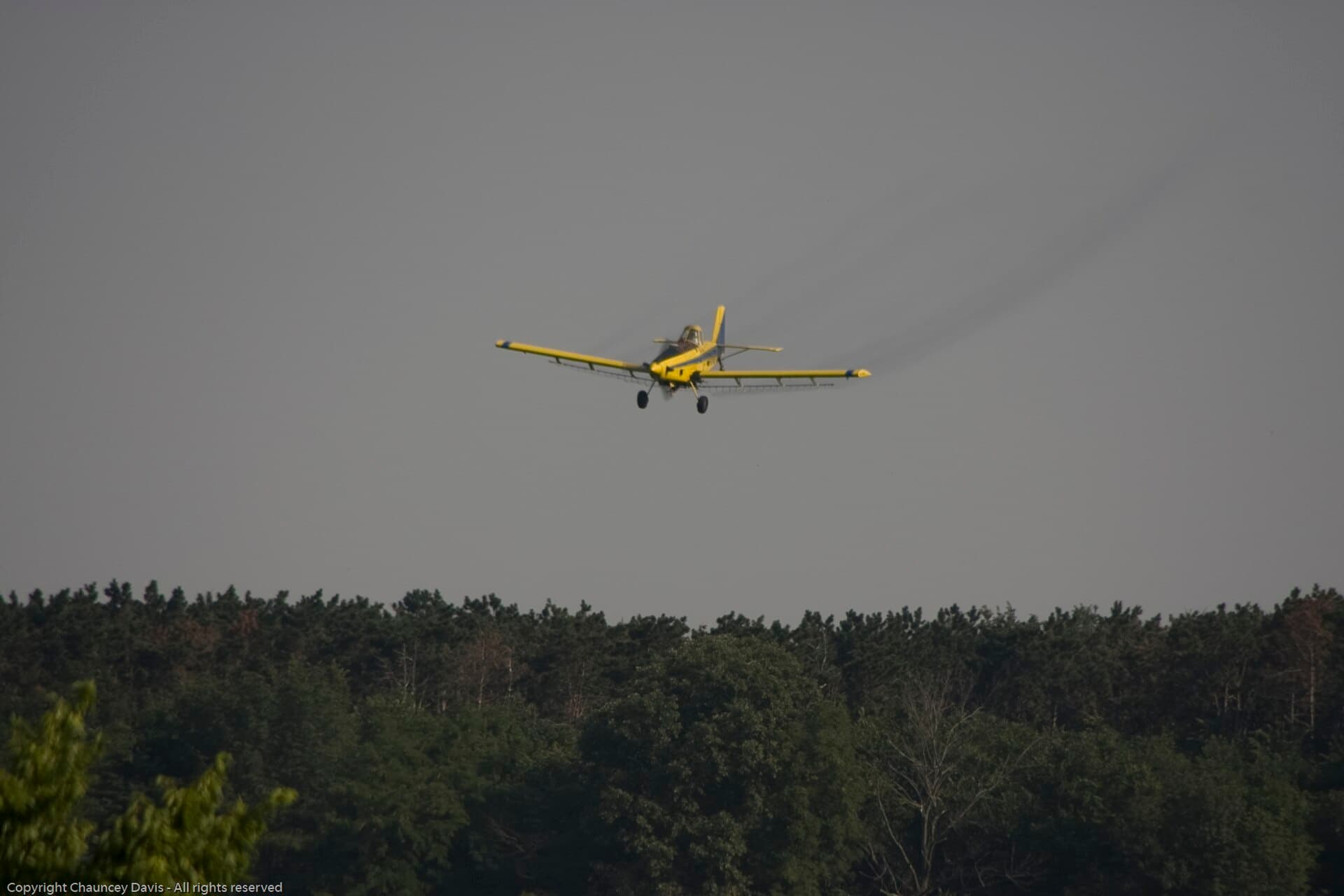 N1531G - Single-engine aircraft
