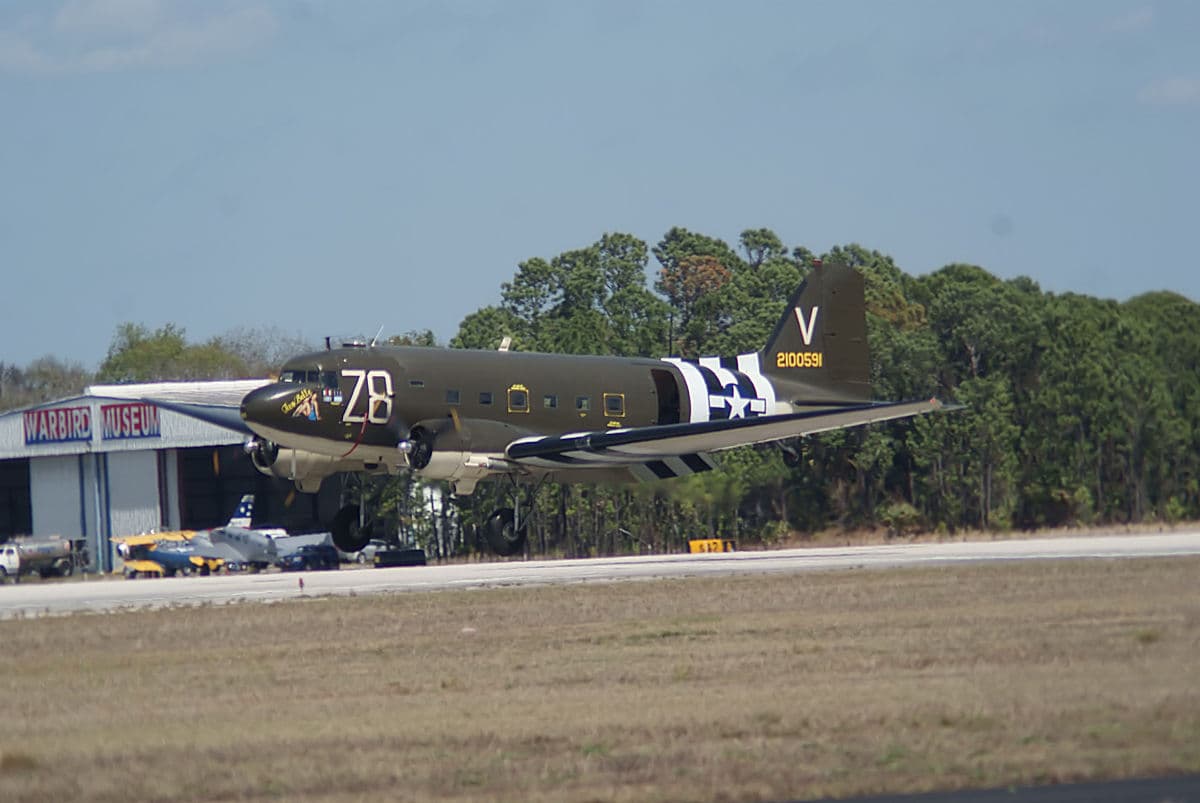 - Warbird