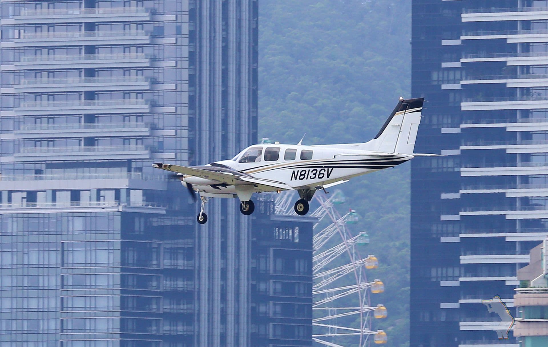 N8136V - Single-engine aircraft