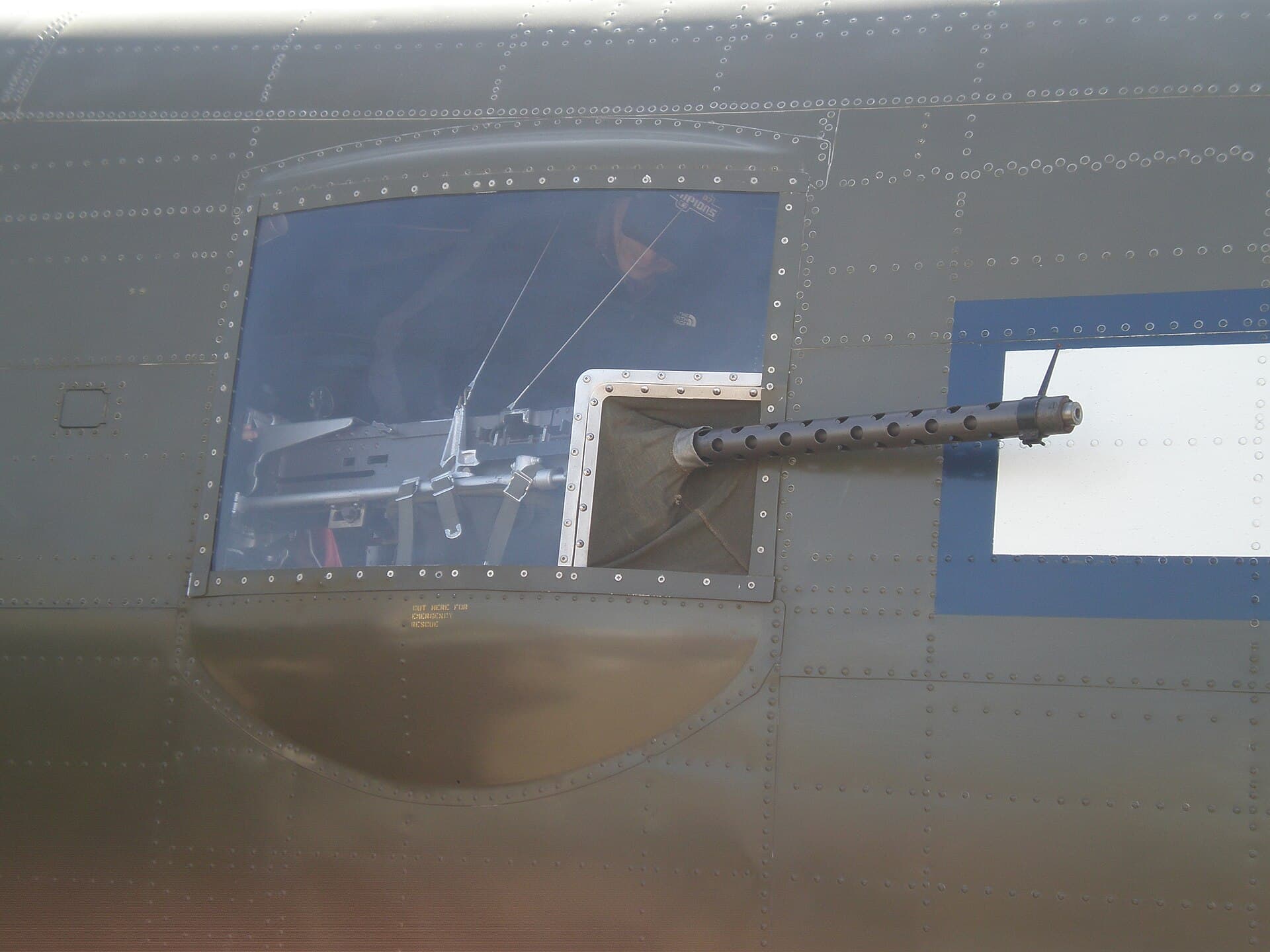 - Warbird