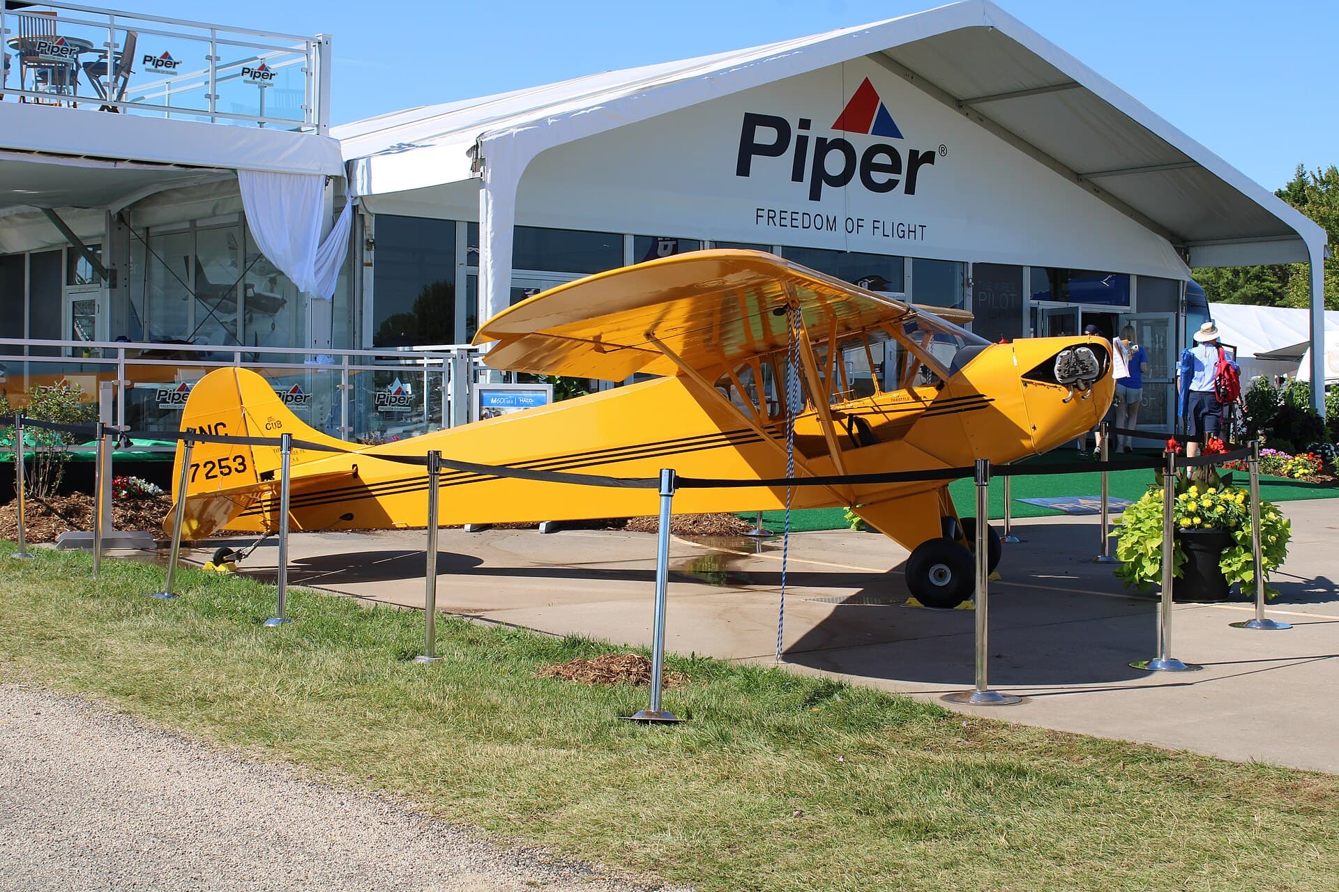 - Piper