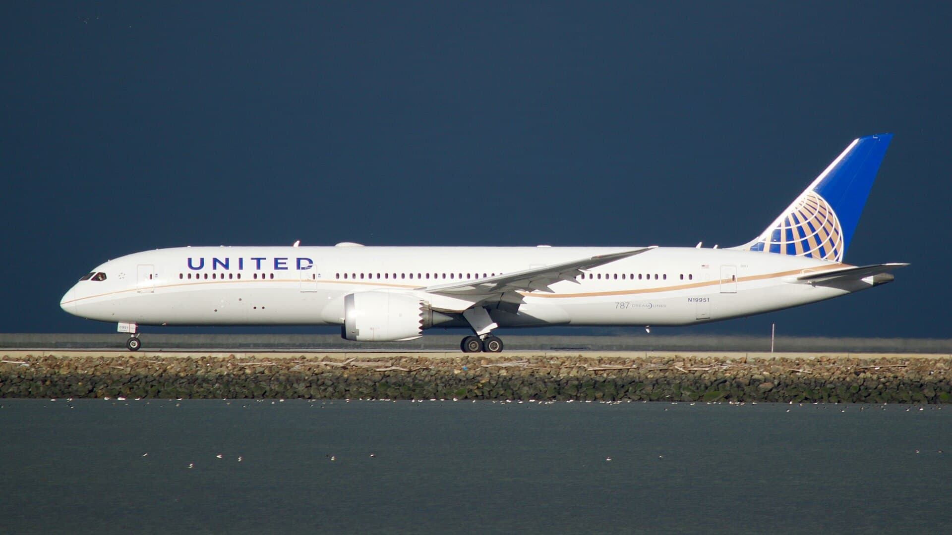 N19951 - Twin-engine aircraft