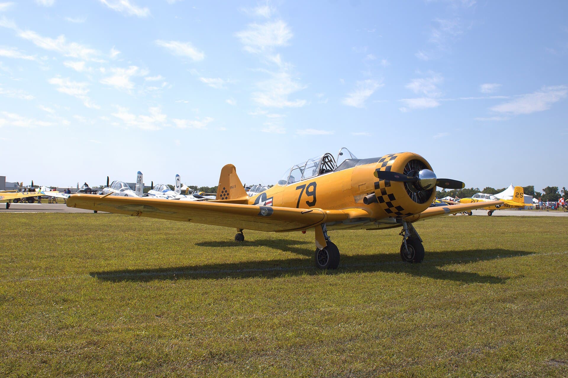 N51979 - Aircraft