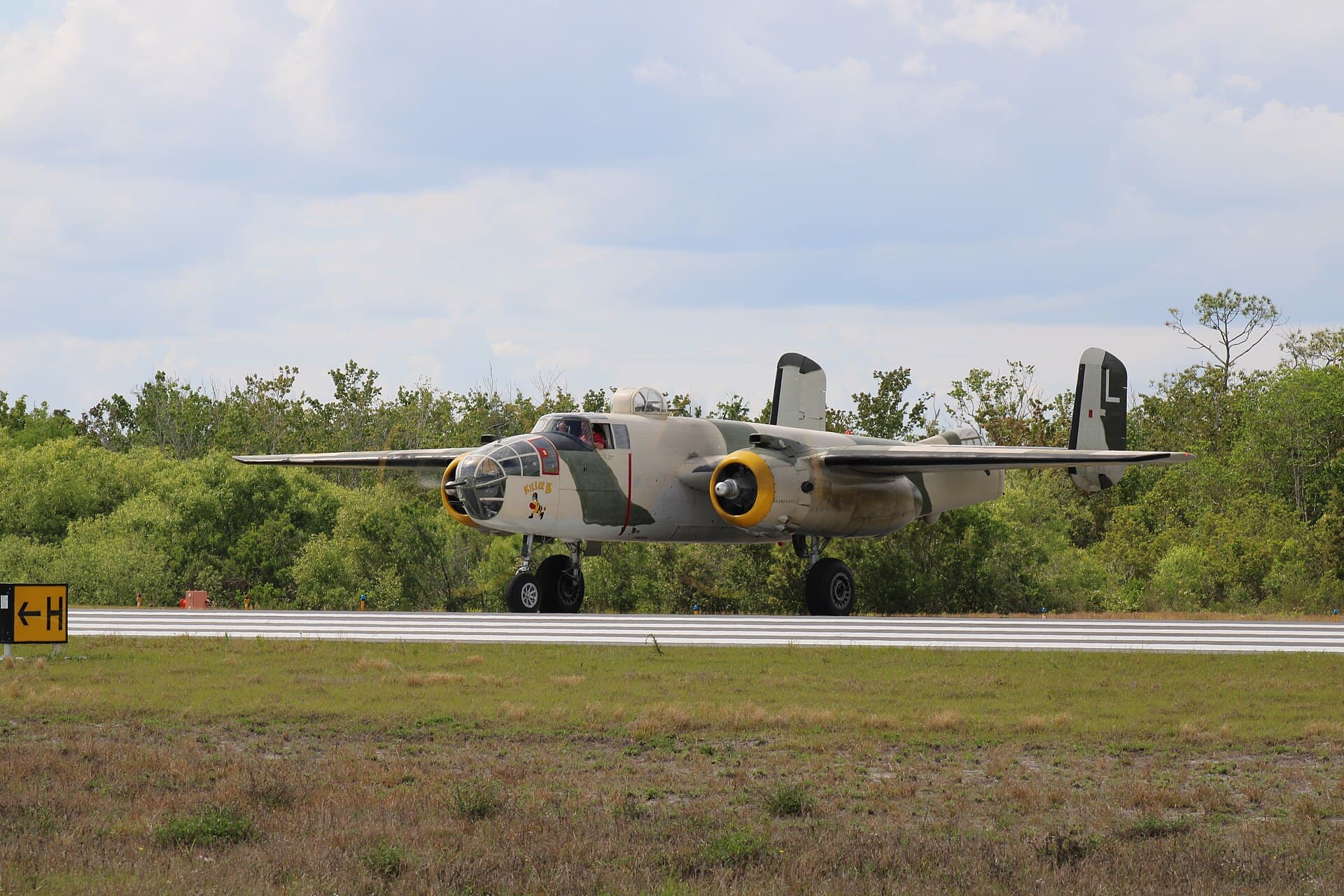 N62163 - Warbird