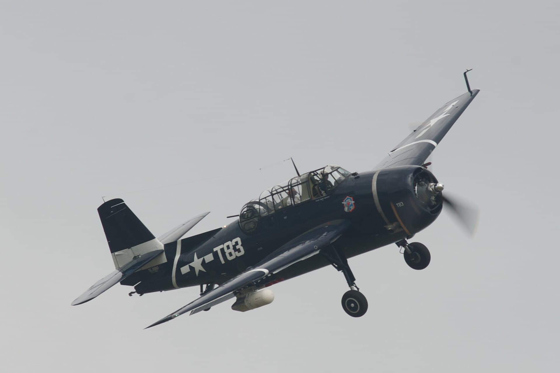 N81865 - Warbird