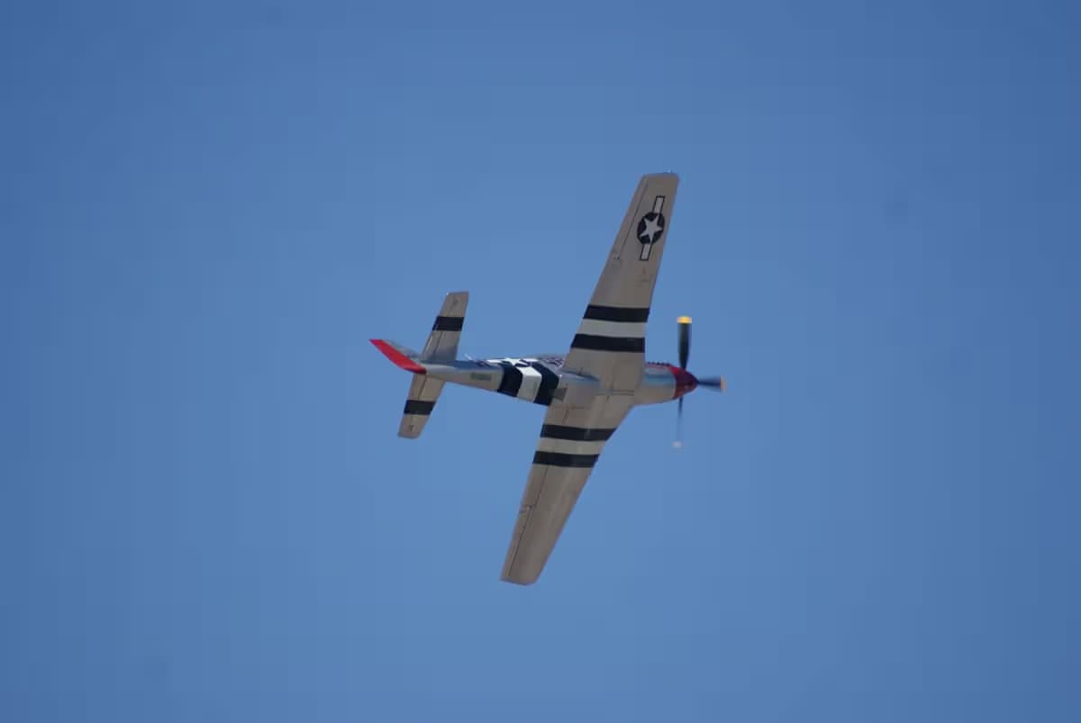 Unidentified — Warbird