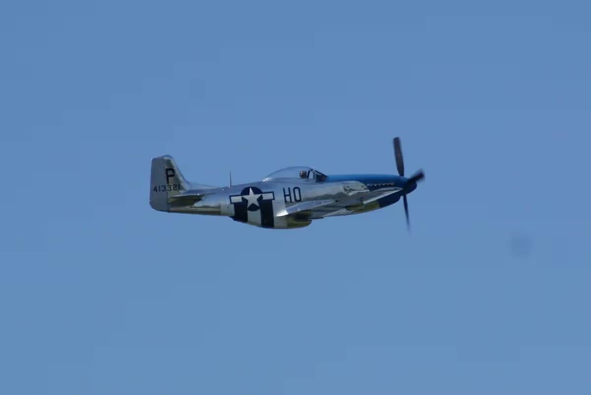 Unidentified — Warbird