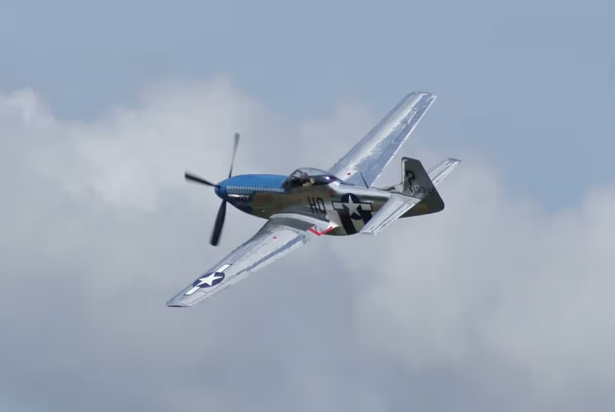 Unidentified — Warbird