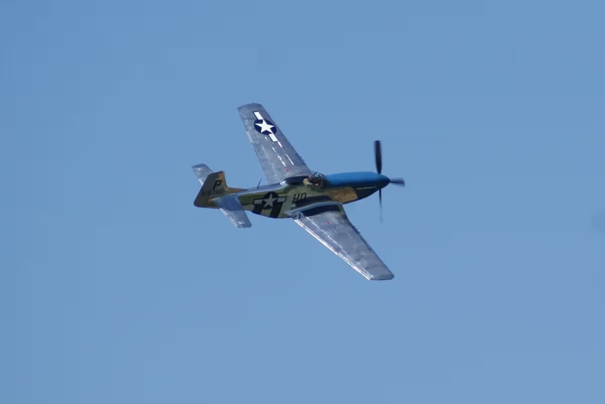 Unidentified — Warbird