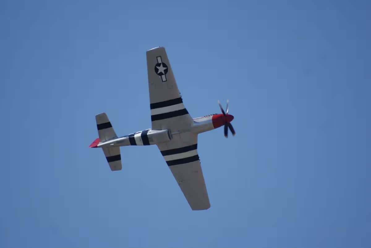 Unidentified — Warbird