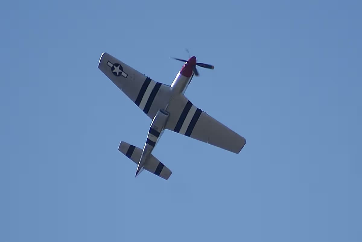 Unidentified — Warbird