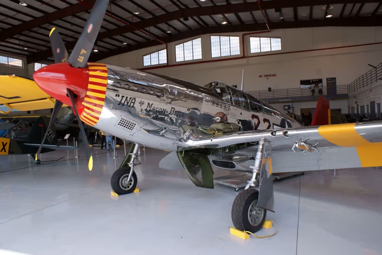 Unidentified — Warbird