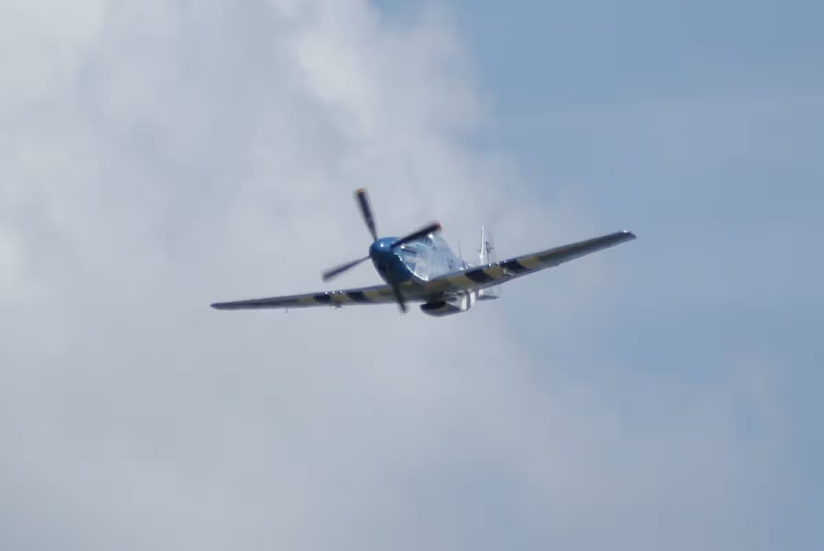 Unidentified — Warbird