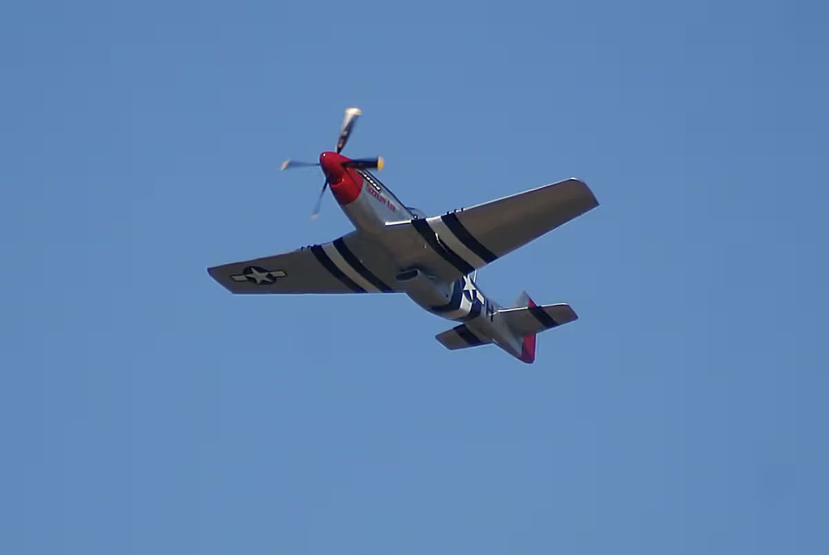 Unidentified — Warbird