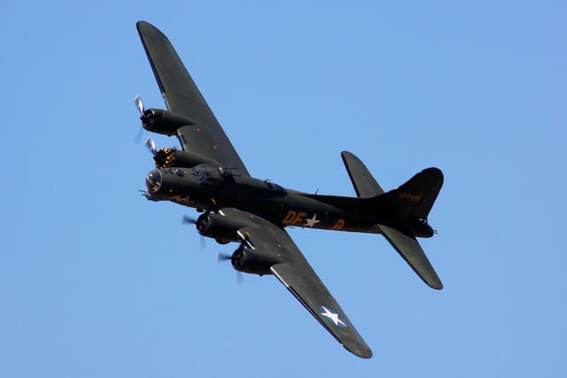 - Warbird