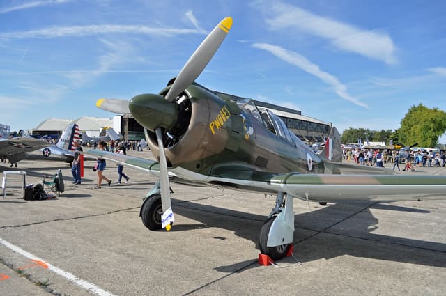 - Warbird