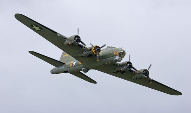 - Warbird
