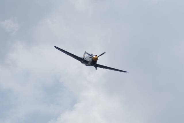 - Warbird
