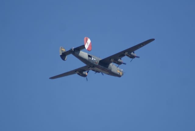 - Warbird
