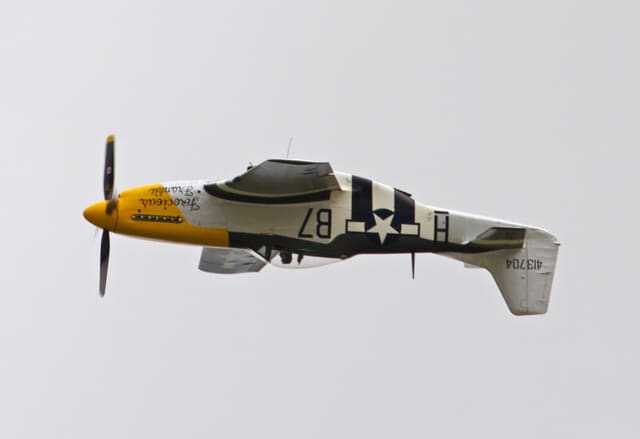 - Warbird