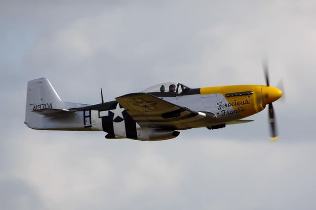- Warbird