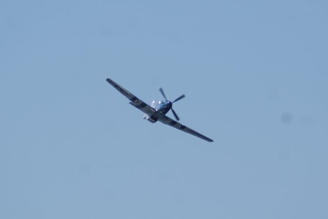 - Warbird