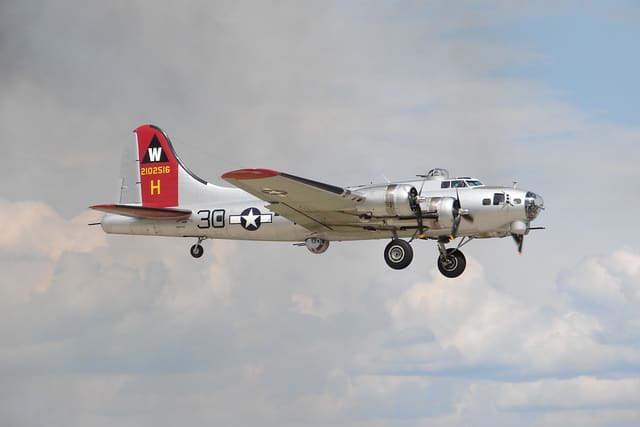 - Warbird