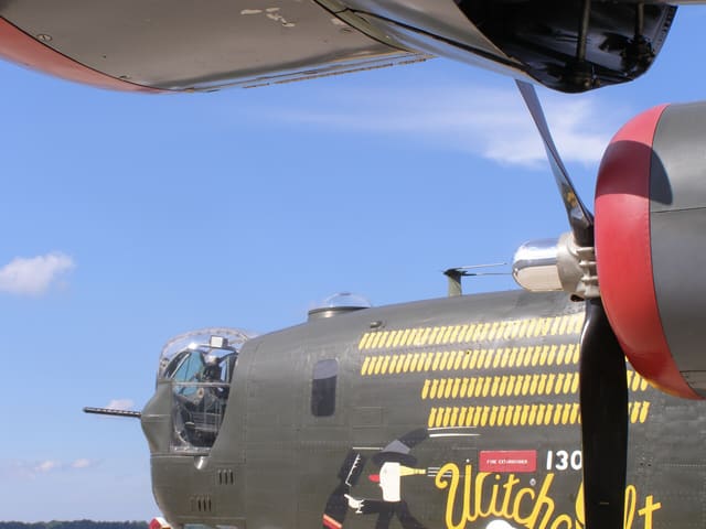 - Warbird
