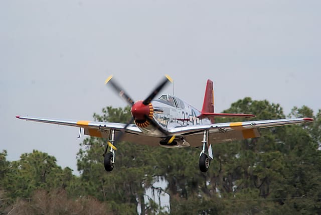 - Warbird