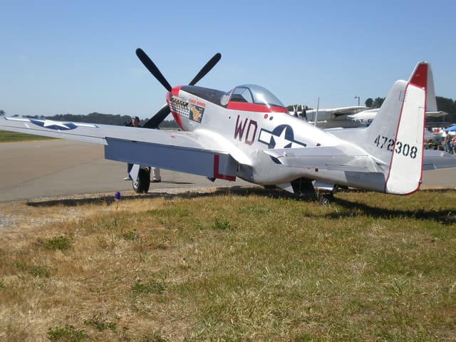 - Warbird