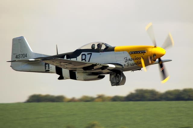 - Warbird