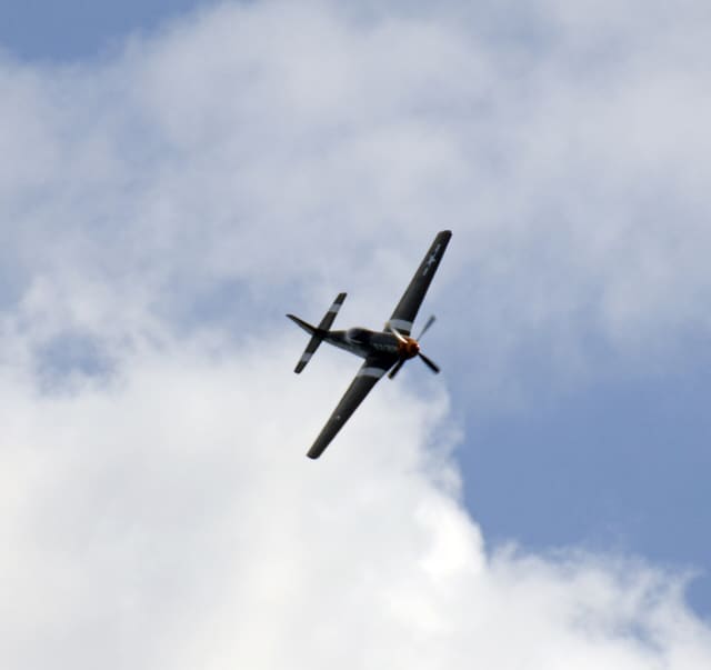 - Warbird