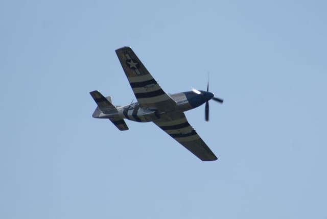 - Warbird