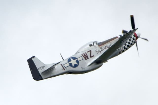 - Warbird